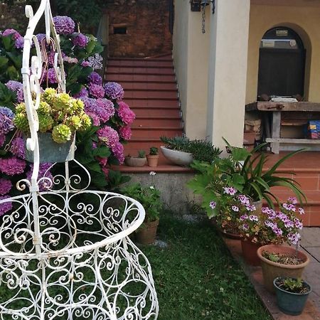 B&B Dal Brillante Seravezza Εξωτερικό φωτογραφία